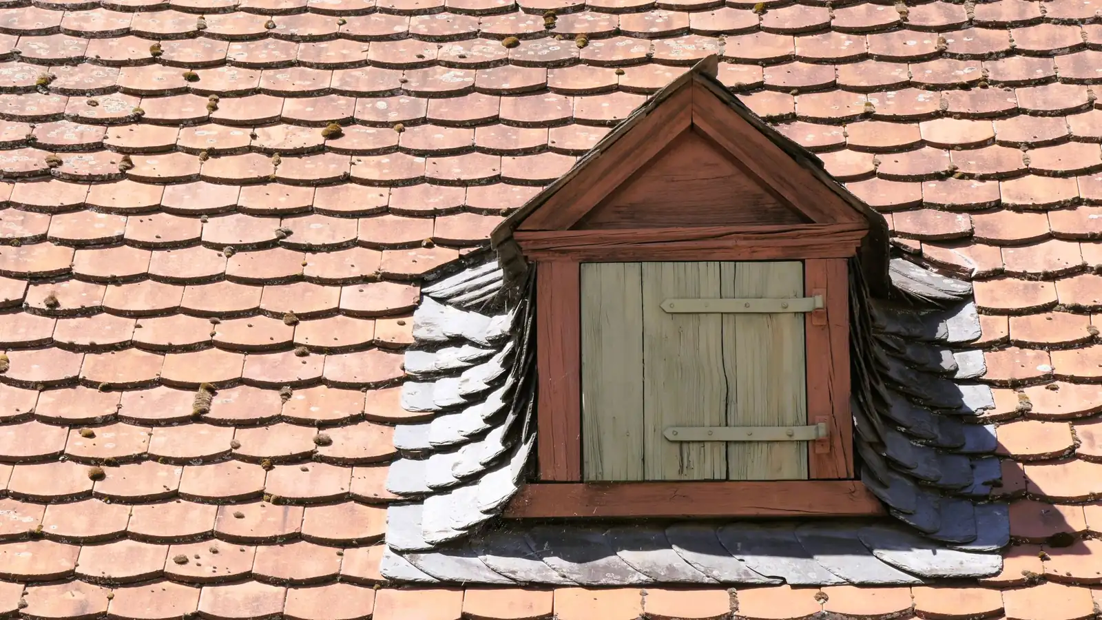 Petit outeau en bois sur un toit en tuiles plates anciennes